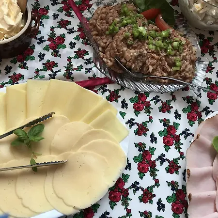 Hanusina Chałupa Wynajem Pokoi Zakopane